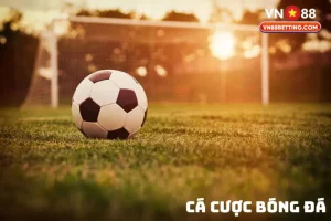 Cá cược bóng đá VN88