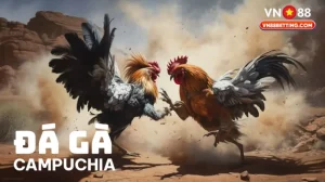 Đá gà Campuchia VN88