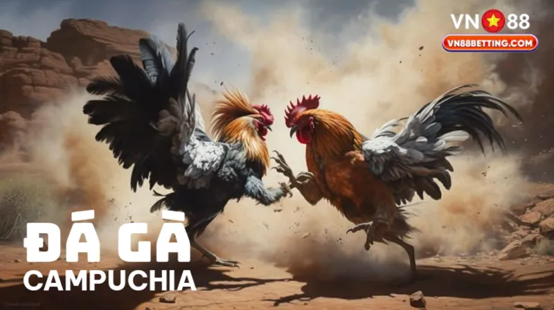 Đá gà Campuchia VN88