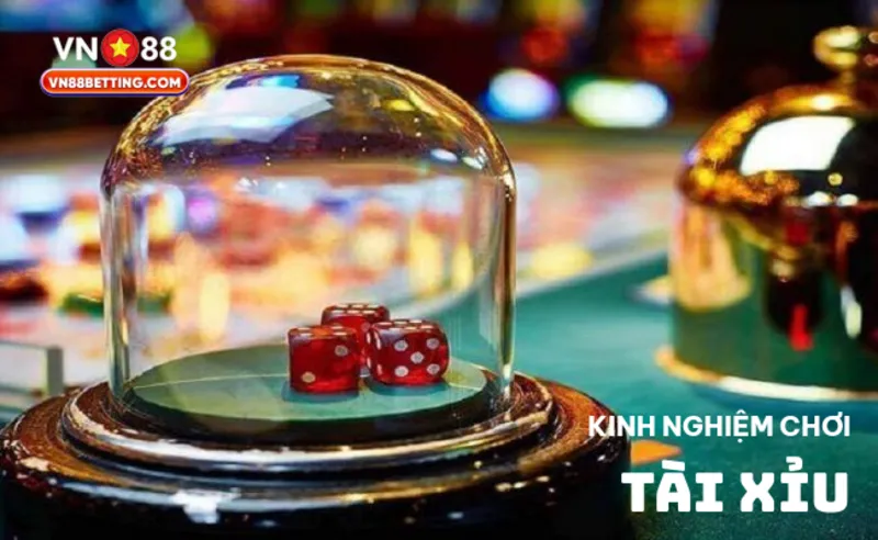 Kinh nghiệm chơi tài xỉu VN88